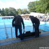Marl2017 (21)
